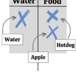 Picture demonstrating the game: Two columns, one column titled Water, the second titled Food. There is one check under the water column labeled "water" and two checks under Food. One check is labeled "Apple" and one is labeled "Hotdog"